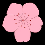 老司机自拍最新版